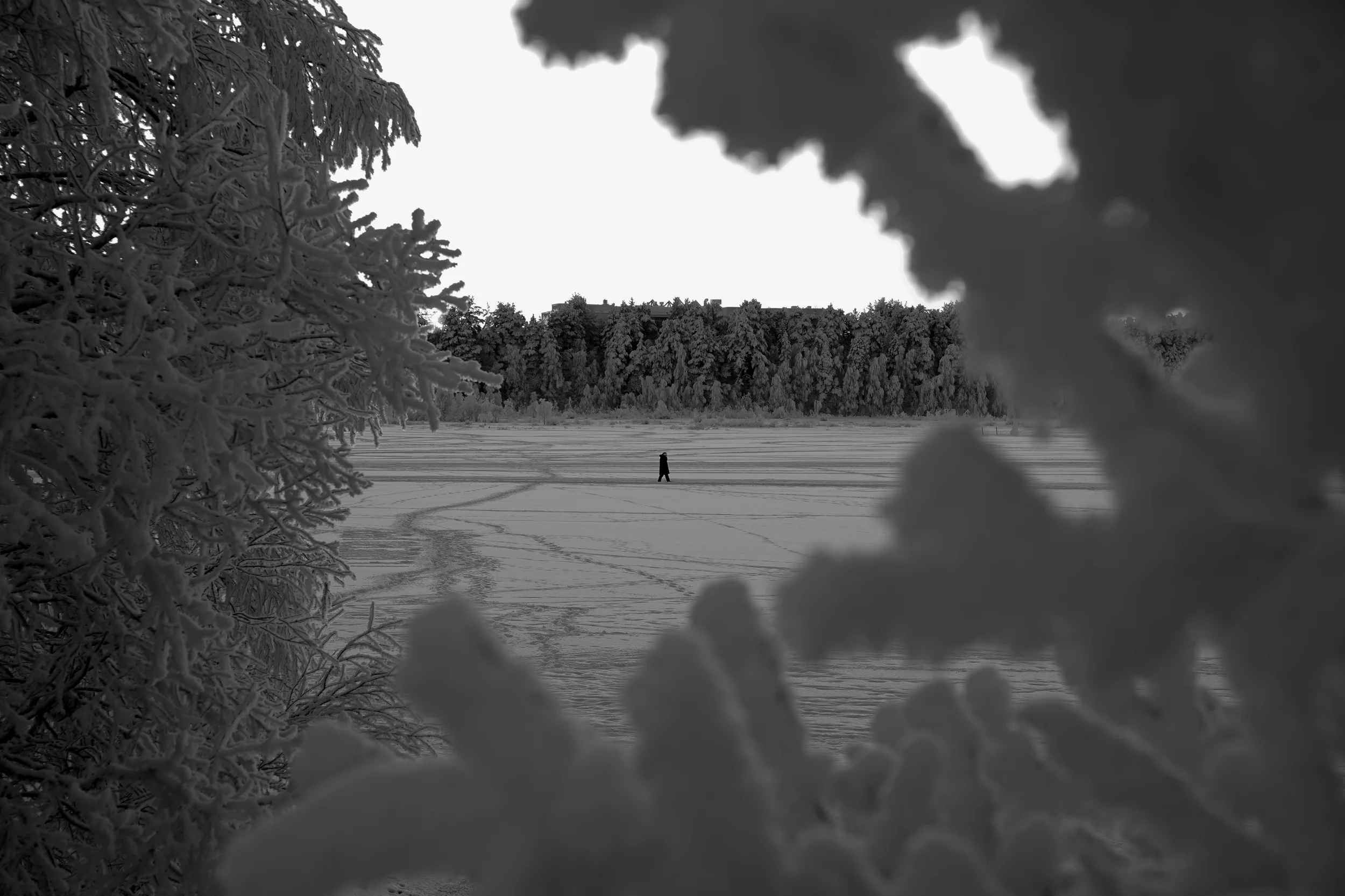 From Rovaniemi, With love