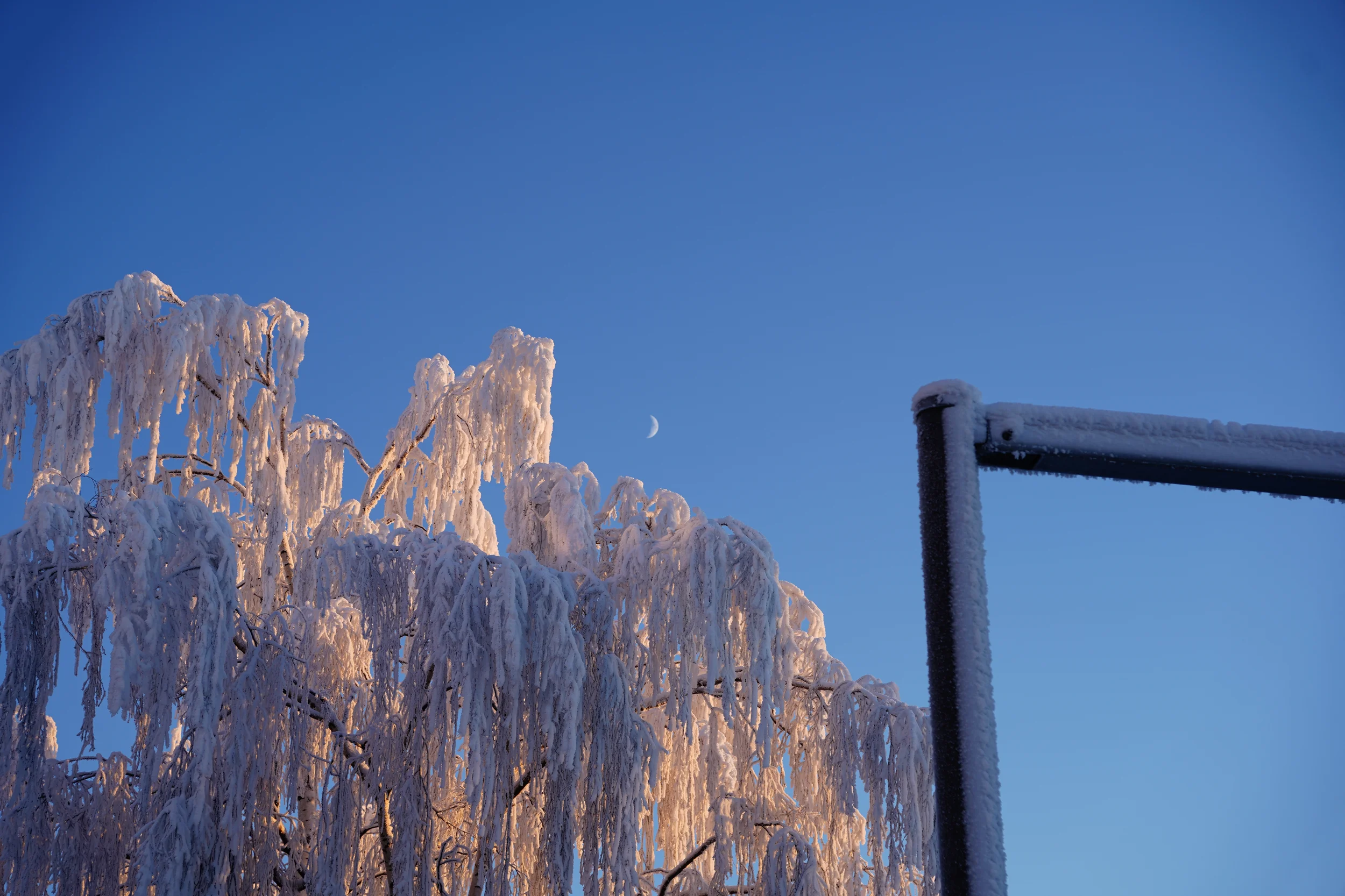 From Rovaniemi, With love