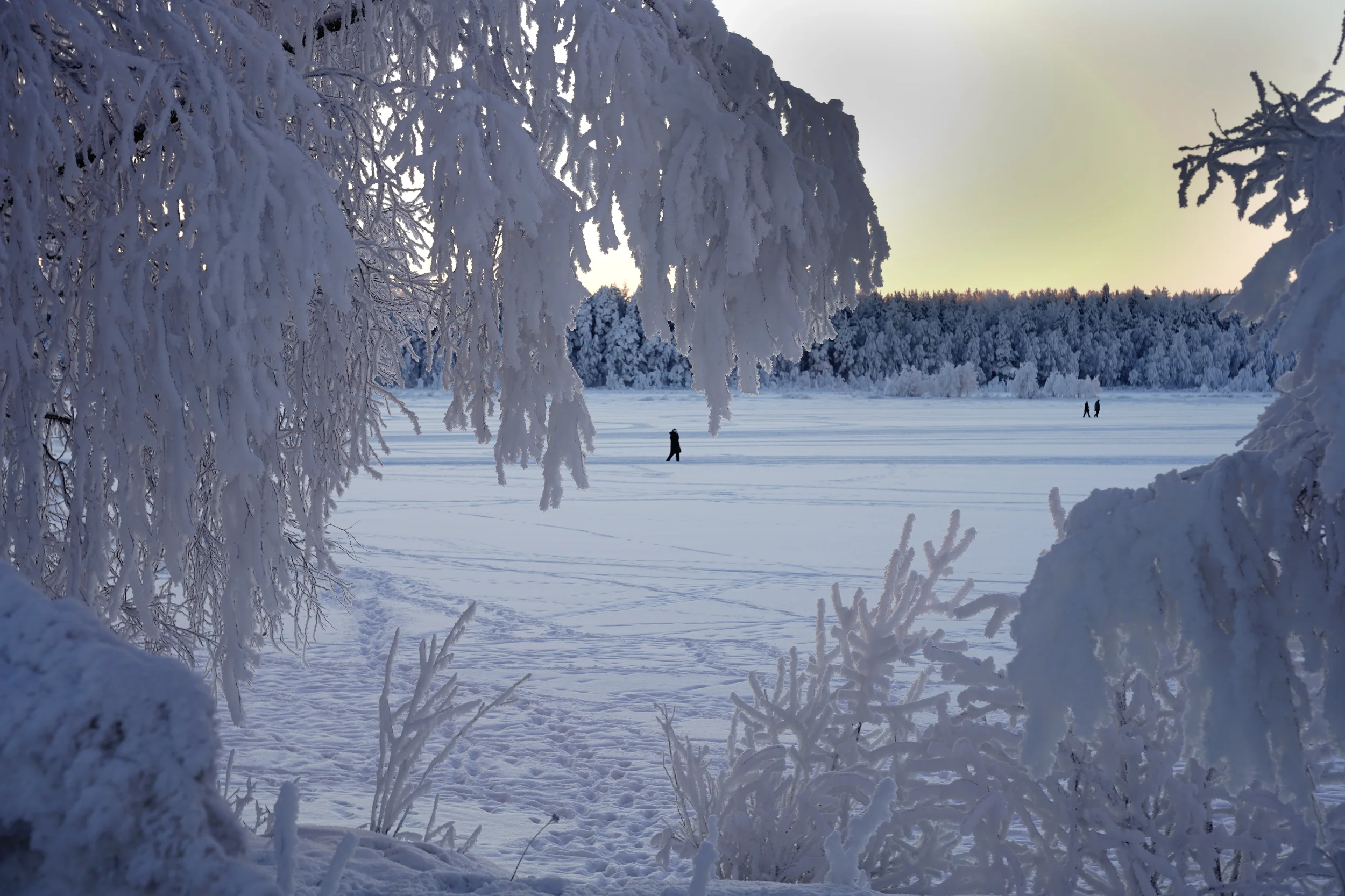 From Rovaniemi, With love