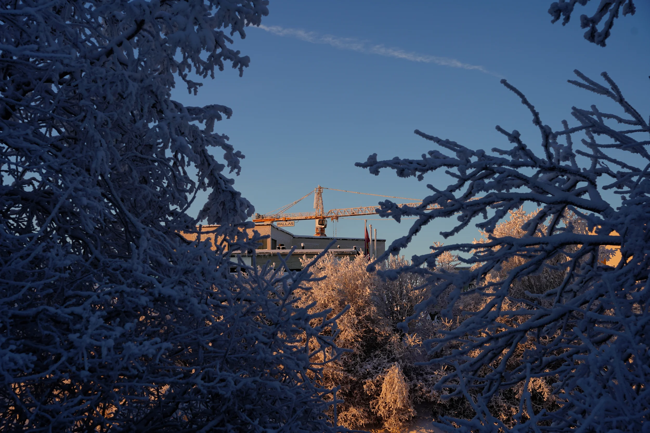 From Rovaniemi, With love