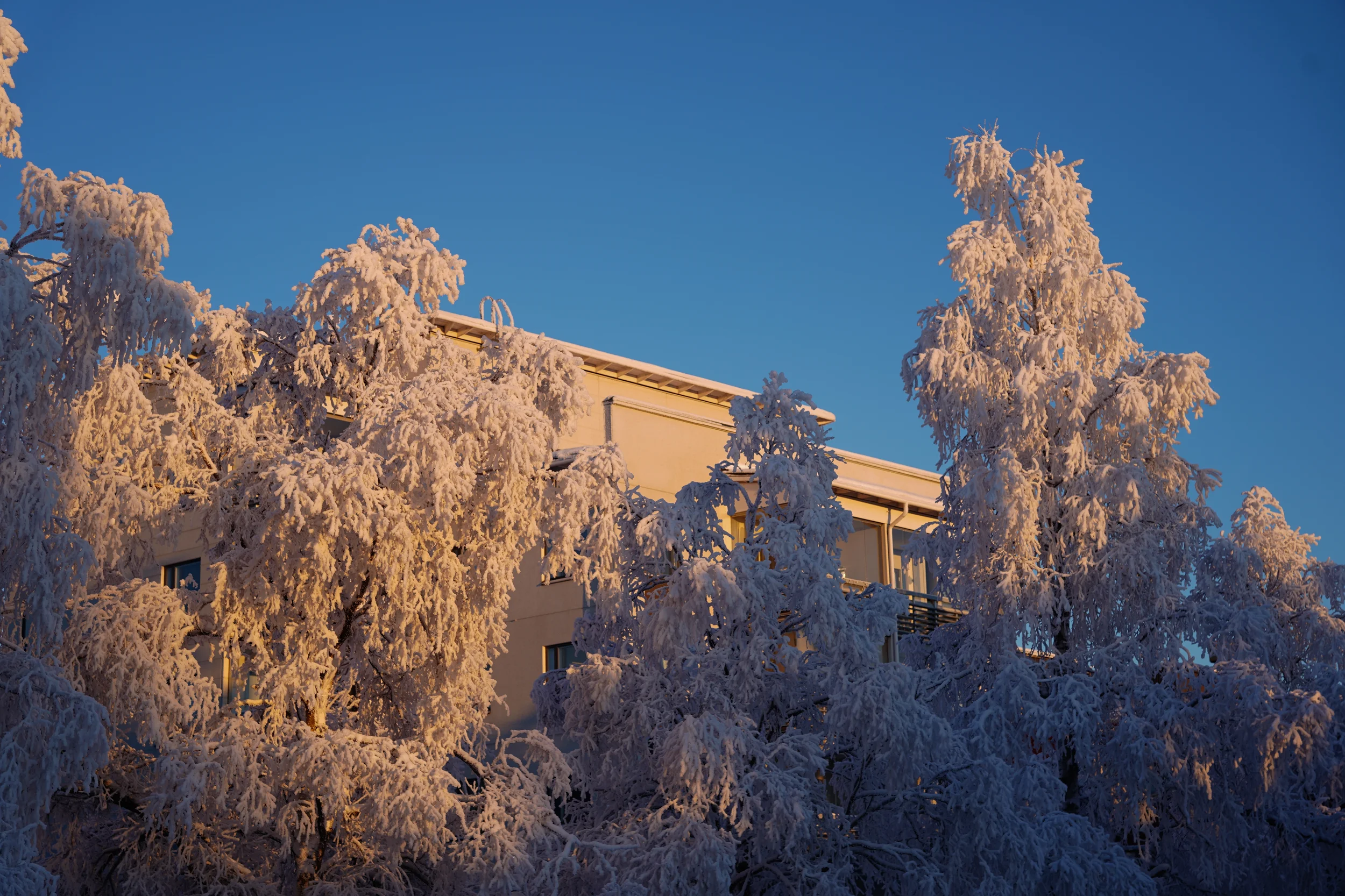 From Rovaniemi, With love