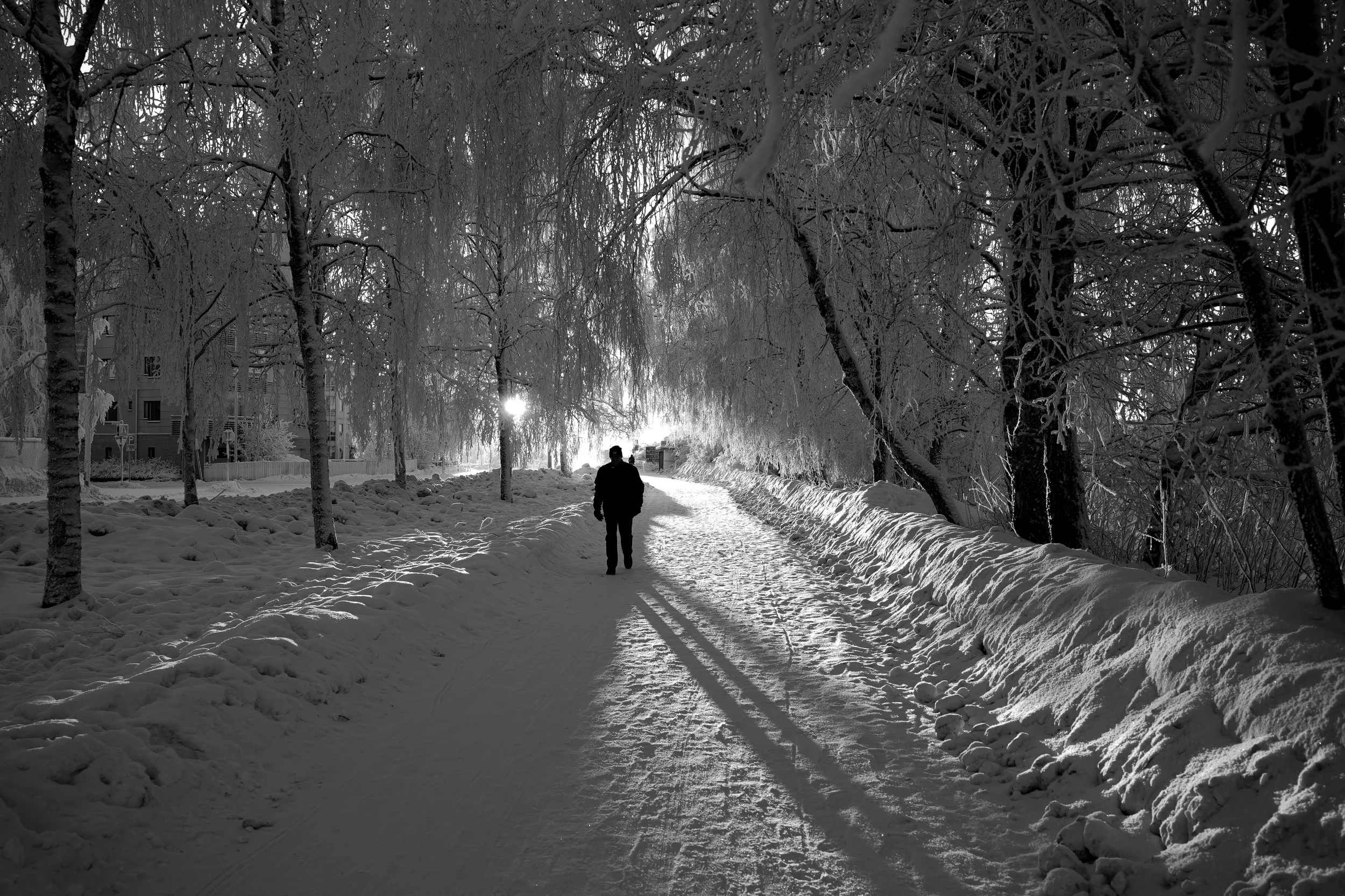 From Rovaniemi, With love