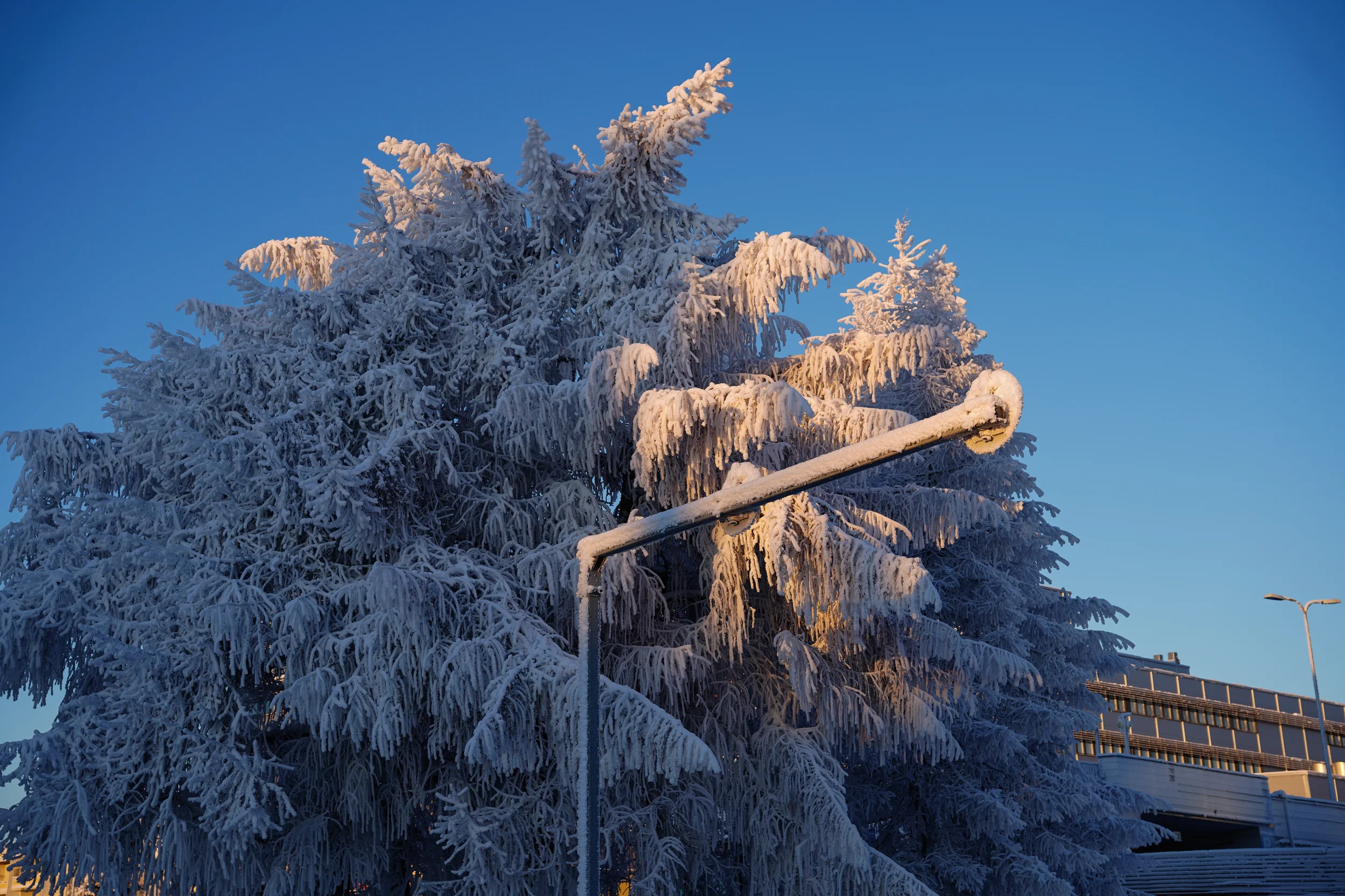 From Rovaniemi, With love